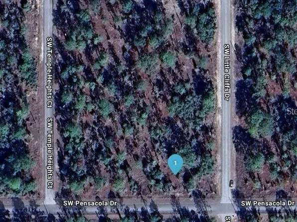 SW Pensacola Dr Lot 28, Dunnellon, FL 34431