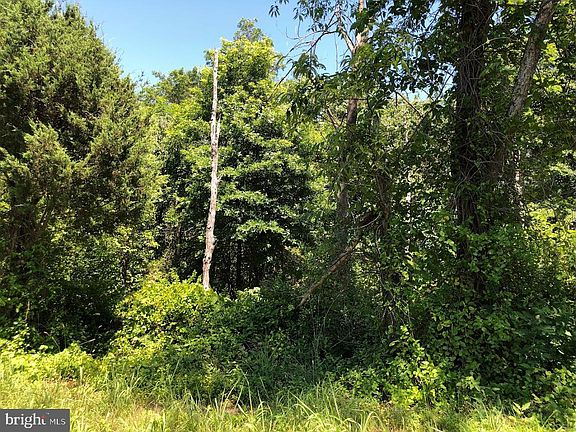 2nd image of 1721 James Madison Hwy