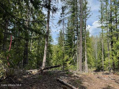 Nna Raven Ridge Rd, Sandpoint, ID, 83864