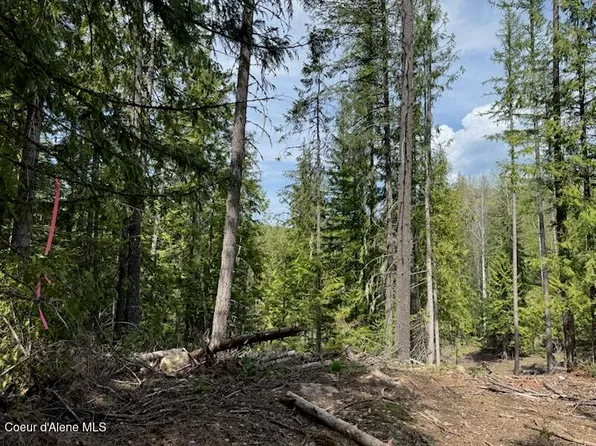 Nna Raven Ridge Rd, Sandpoint, ID 83864