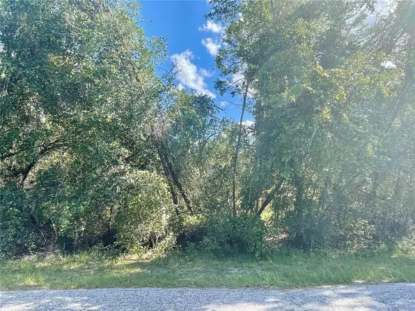 WACASSA TRAIL LOT 50, SORRENTO, FL 32776