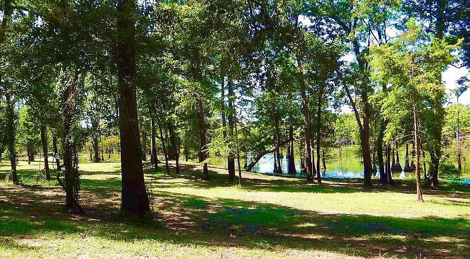 Foster Lake Rock Rd 7, Woodville, MS 39669 Zillow
