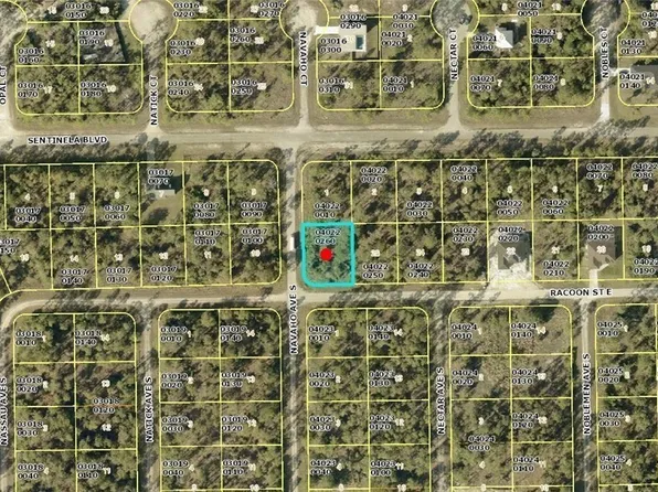 1223 Racoon St E, Lehigh Acres, FL 33974