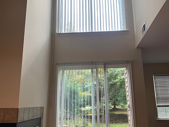 Living room windows