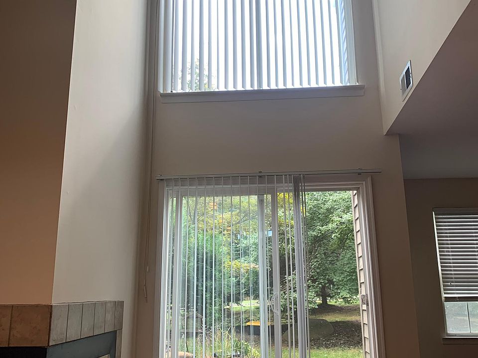 Living room windows