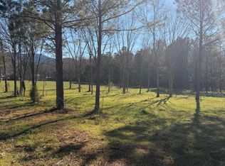 LOT-62B County Road 32, Piedmont, AL 36272