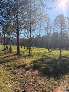 LOT-62B County Road 32, Piedmont, AL, 36272
