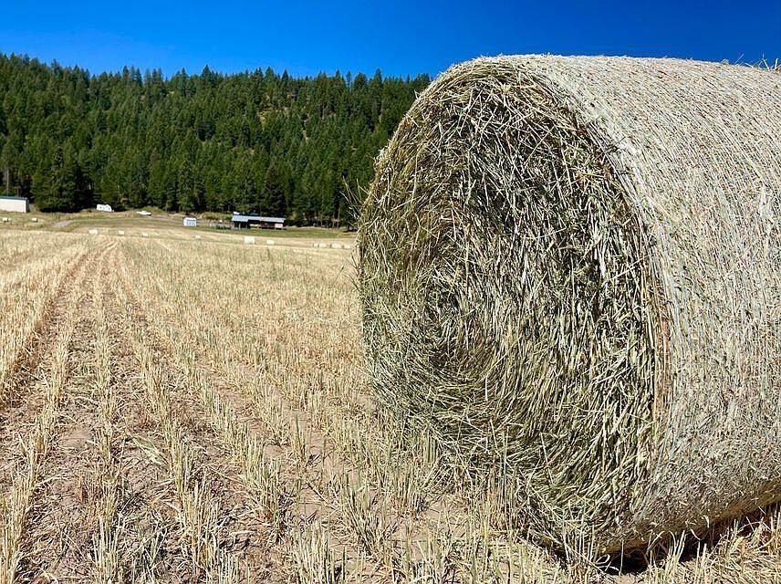 Haller Creek Rd, Addy, WA 99101 Zillow