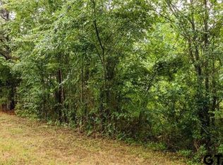 46 Private Road 7011, Frankston, TX 75763