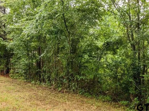 46 Private Road 7011, Frankston, TX 75763