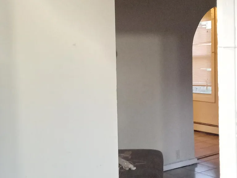 21 Webb St — Photo 5