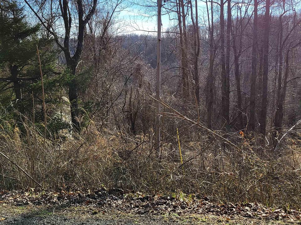 Pinch Gut Hollow Rd, Fairmont, WV 26554 Zillow