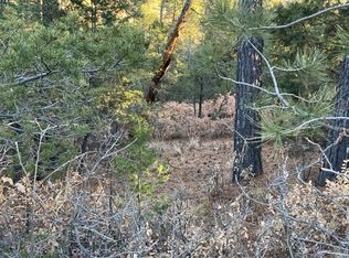 1-L1 Miles Loop #2-45-15, Timberon, NM 88350
