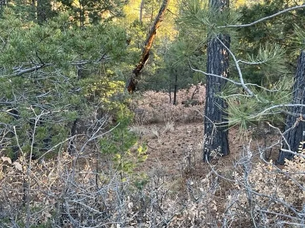 1-L1 Miles Loop #2-45-15, Timberon, NM 88350