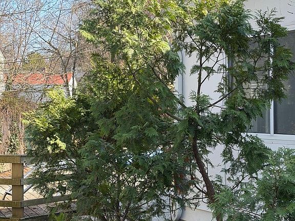 2nd image of 3307 Rutgers St