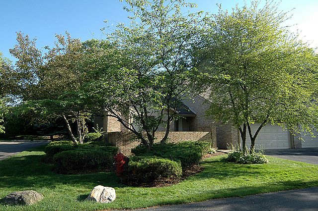 1st image of 4303 Foxpointe Dr #1