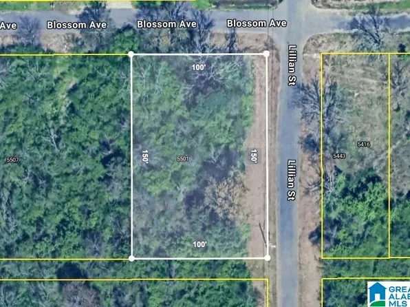 5501 Blossom Ave #1, Birmingham, AL 35228