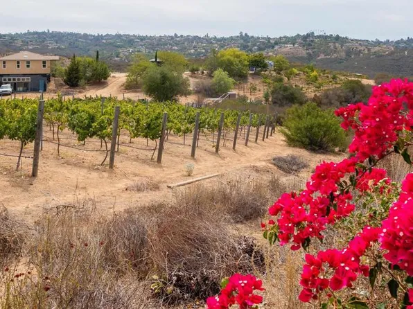 1738 Via De Lago, Fallbrook, CA 92028