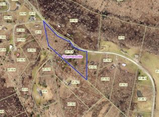 438 Irish St, Summersville, WV 26651