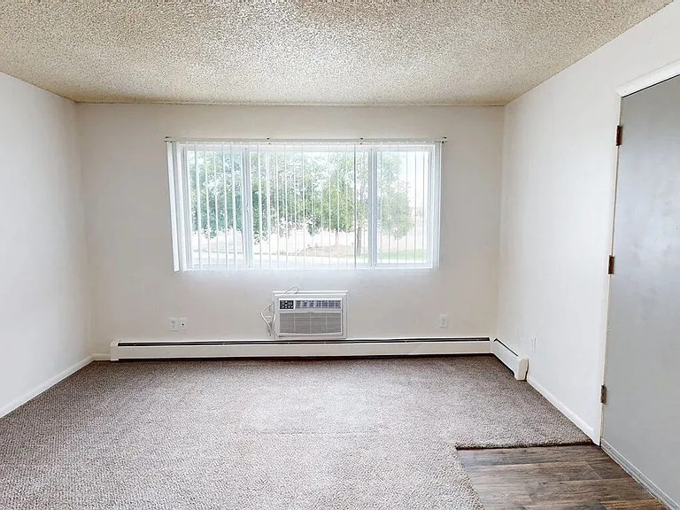 Cozy, Plush Carpeting