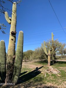 25625 W ROCKAWAY HILLS Drive, Morristown, AZ, 85342