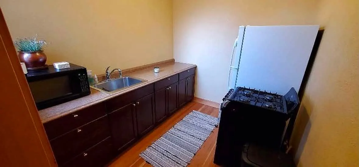 Studio, 480 sqft, $1,200 — Photo 3