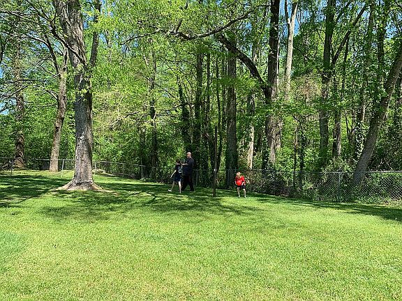 Large Backyard Edge of Woods