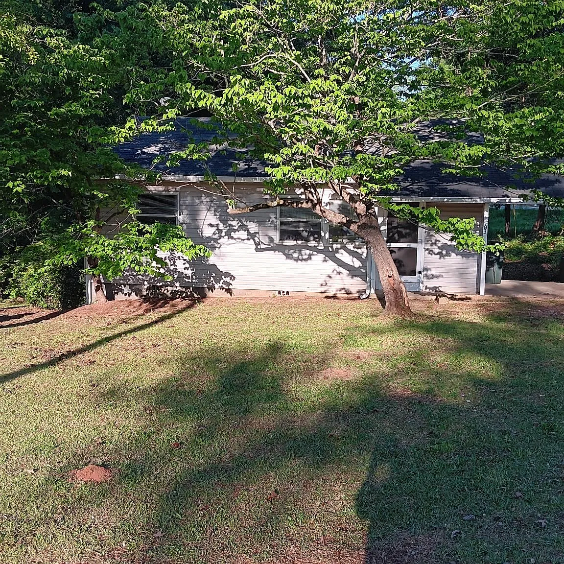 103 Dogwood Ave — Photo 1