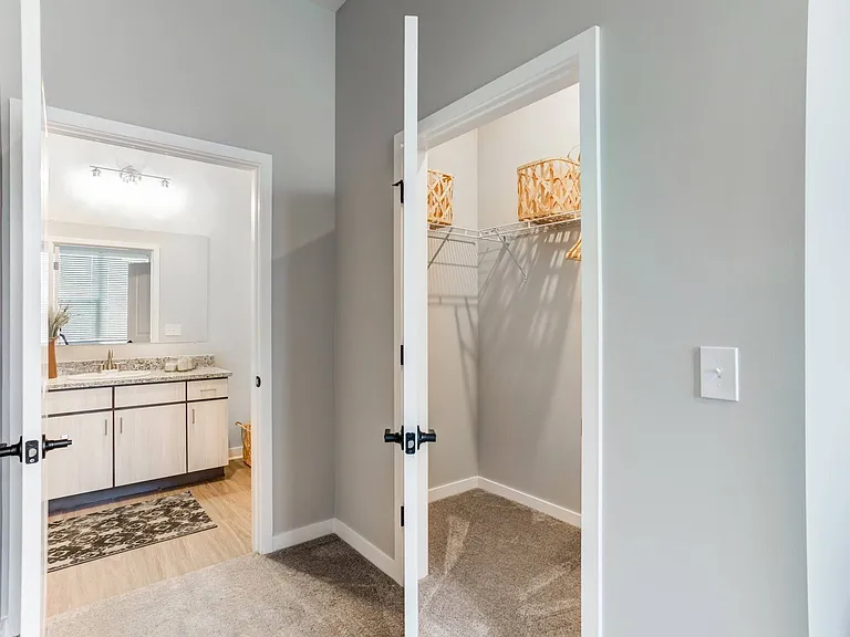 Walk in Closet and Spacious Bathroom