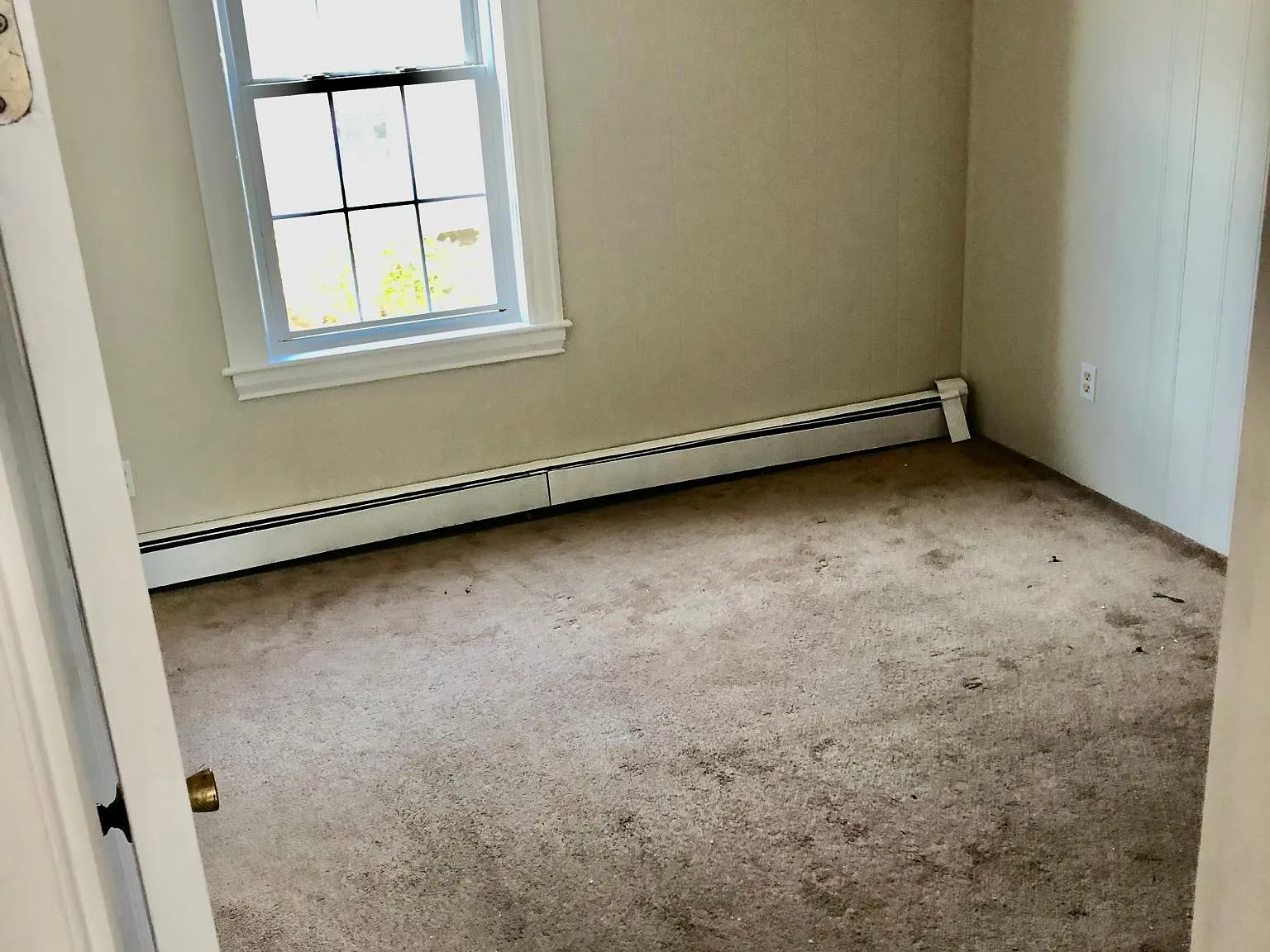 1 bed, $1,500 — Photo 3