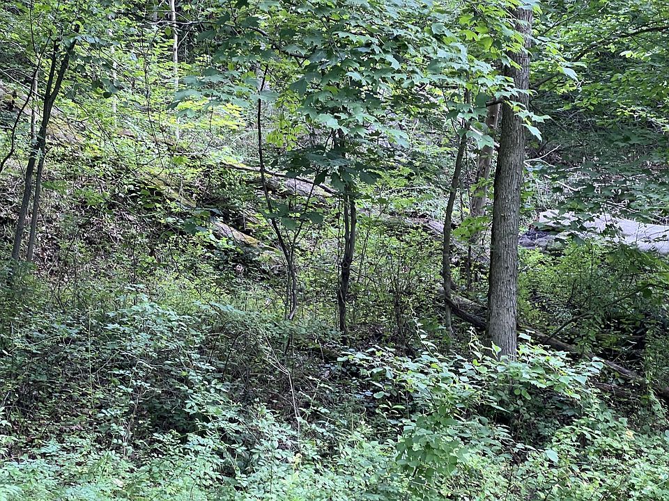 2nd image of Side Cr Bald Knob Stiversville Rd #31
