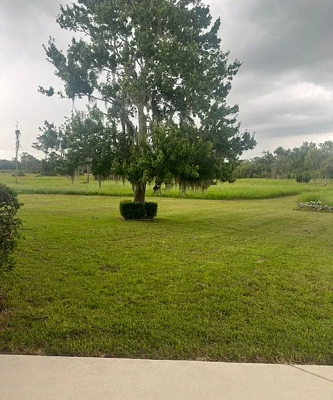 15986 Cutting Horse Trl — Photo 4