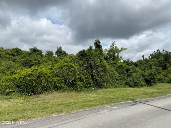 1009 Bloomfield Street, New Bern, NC 28560