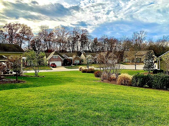Back yard view winter