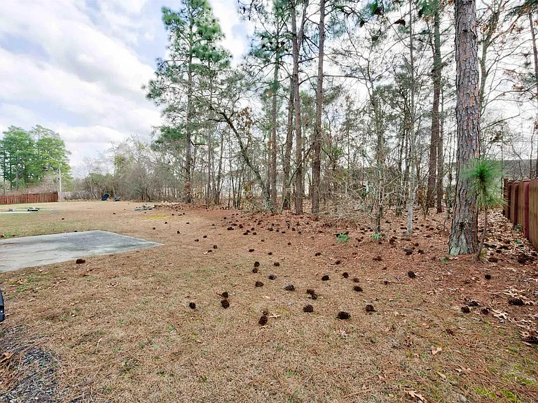 1908 Lake Carolina Dr — Photo 35