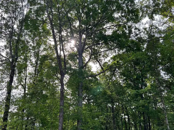 8 Abrielle Ln, Benton, AR 72019