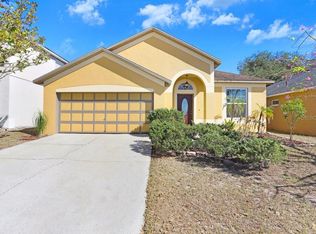 919 Grand Canyon Dr, Valrico, FL 33594