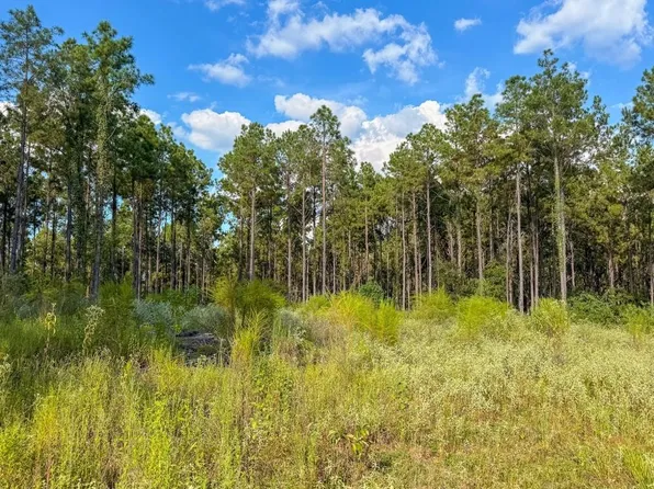 0 County Road 4070, Woodville, TX 75979