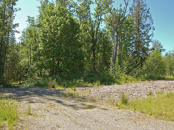 Driveway looking west