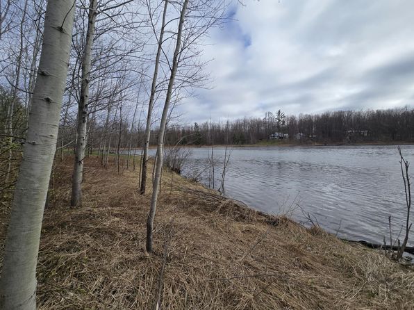 252 Sunridge Dr, Elmira, MI 49730