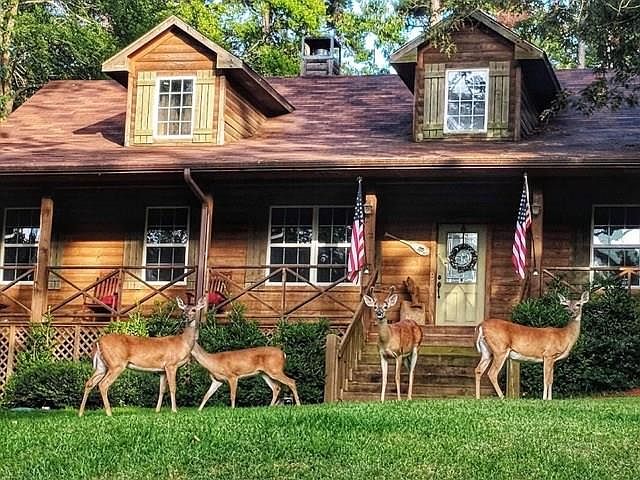 1st image of 418 County Road 2431