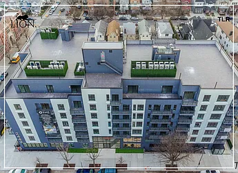 Rented by The Lion Real Estate