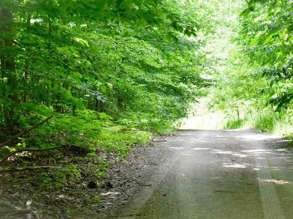 Berry Ln, Boyne City, MI 49712