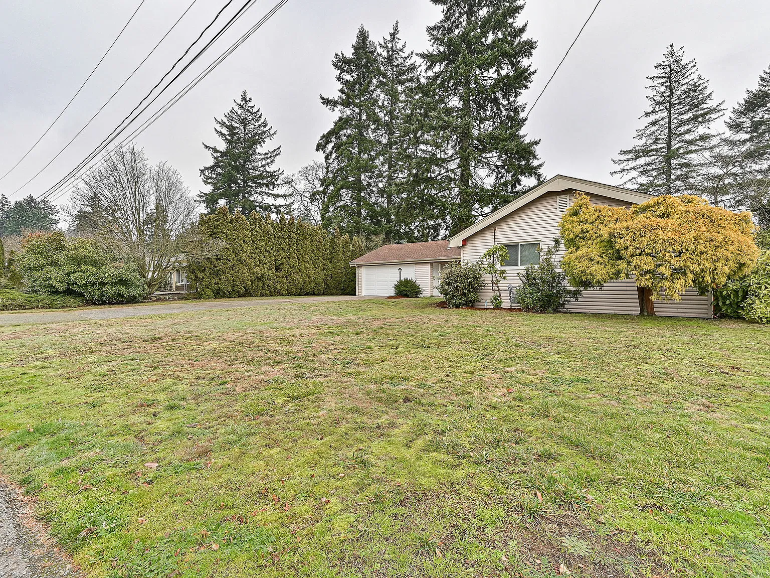 3 bed, 1309 sqft, $2,450 — Photo 3