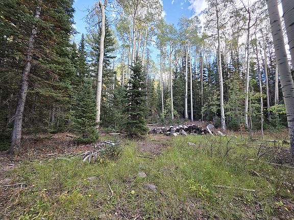 3rd image of 214 E Deer Trail Rd