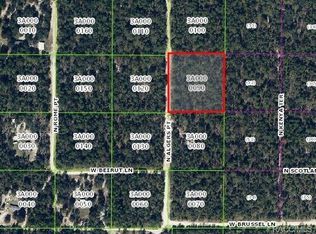 6409 N Algiers Point, Dunnellon, FL 34433