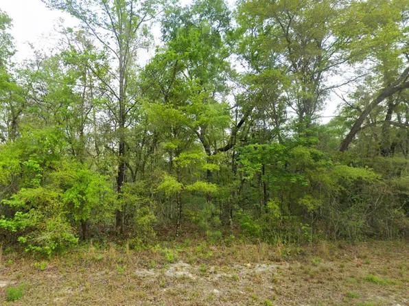  NE 709th Ave, Old Town, FL 32680