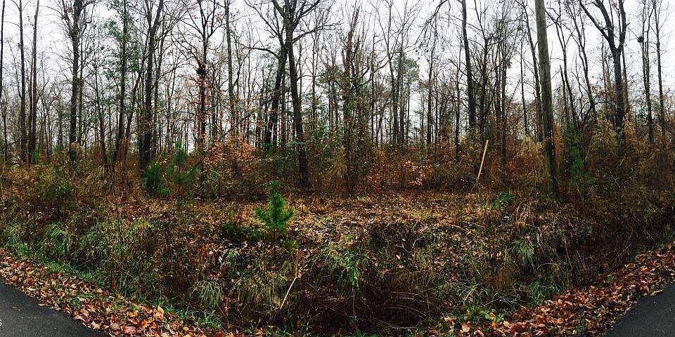 1st image of 194 Old Beechtree Ln