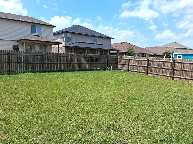 Back Yard