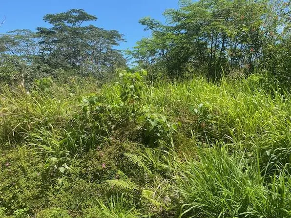 AWEOWEO ST, Pahoa, HI 96778